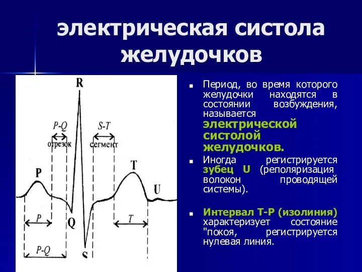 электрическая систола желудочков Период, во время которого желудочки находятся в состоянии