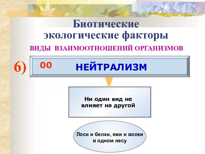 Биотические экологические факторы ВИДЫ ВЗАИМООТНОШЕНИЙ ОРГАНИЗМОВ 6) НЕЙТРАЛИЗМ 00 Ни один