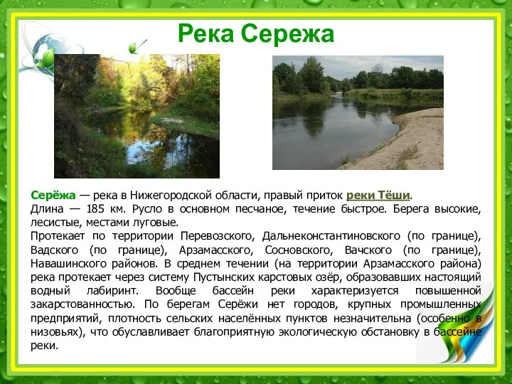 Река Сережа Серёжа — река в Нижегородской области, правый приток реки