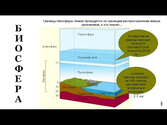 БИОСФЕРА 2-3 км