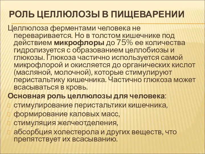 РОЛЬ ЦЕЛЛЮЛОЗЫ В ПИЩЕВАРЕНИИ Целлюлоза ферментами человека не переваривается. Но в