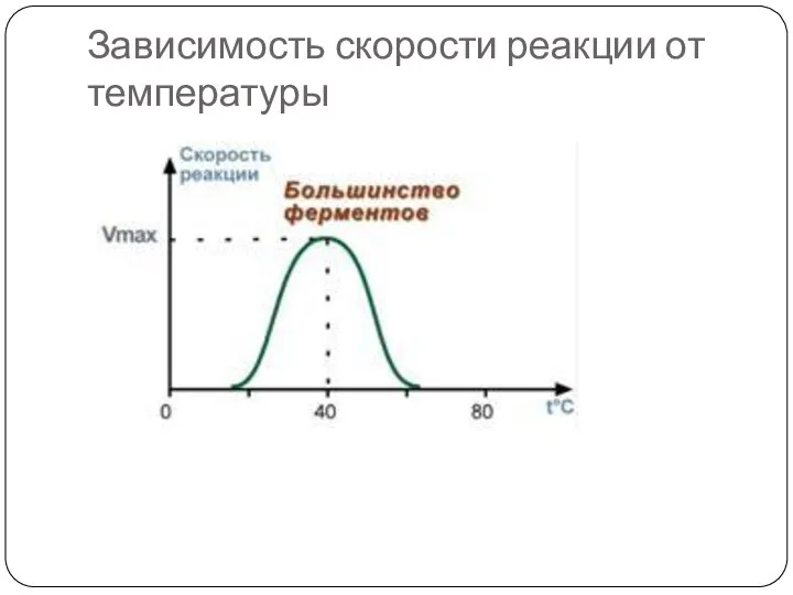 Зависимость скорости реакции от температуры