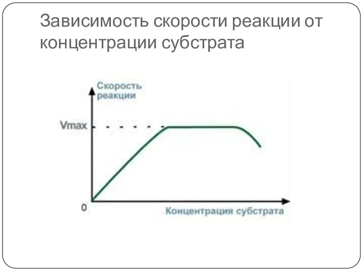 Зависимость скорости реакции от концентрации субстрата