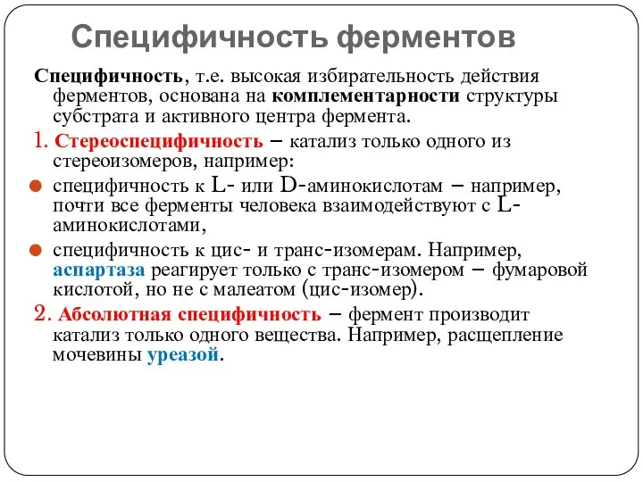 Специфичность ферментов Специфичность, т.е. высокая избирательность действия ферментов, основана на комплементарности