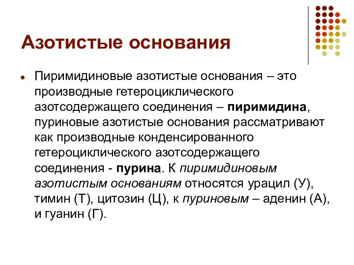 Азотистые основания Пиримидиновые азотистые основания – это производные гетероциклического азотсодержащего соединения