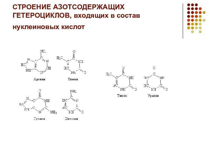 СТРОЕНИЕ АЗОТСОДЕРЖАЩИХ ГЕТЕРОЦИКЛОВ, входящих в состав нуклеиновых кислот