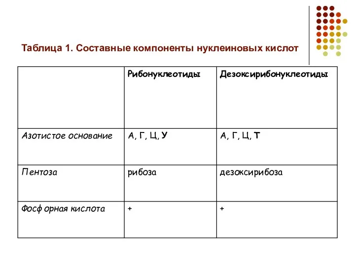 Таблица 1. Составные компоненты нуклеиновых кислот