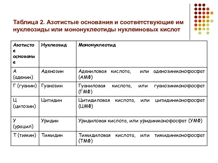 Таблица 2. Азотистые основания и соответствующие им нуклеозиды или мононуклеотиды нуклеиновых кислот