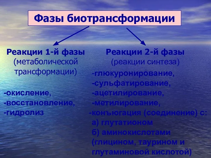 Фазы биотрансформации Реакции 1-й фазы (метаболической трансформации) Реакции 2-й фазы (реакции