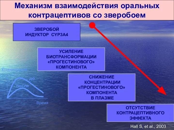 Механизм взаимодействия оральных контрацептивов со зверобоем ЗВЕРОБОЙ ИНДУКТОР CYP3A4 УСИЛЕНИЕ БИОТРАНСФОРМАЦИИ