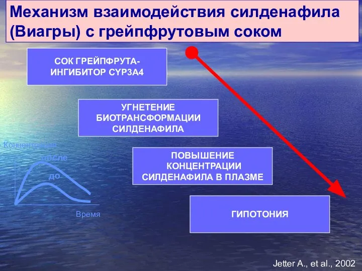 Механизм взаимодействия силденафила (Виагры) с грейпфрутовым соком СОК ГРЕЙПФРУТА- ИНГИБИТОР CYP3A4