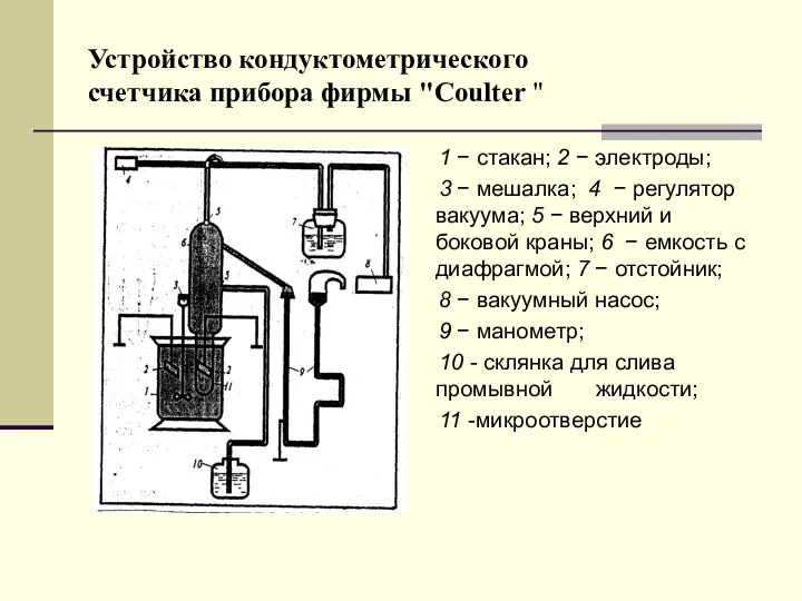 Устройство кондуктометрического счетчика прибора фирмы "Coulter " 1 − стакан; 2