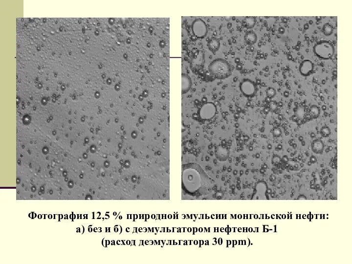 Фотография 12,5 % природной эмульсии монгольской нефти: а) без и б)