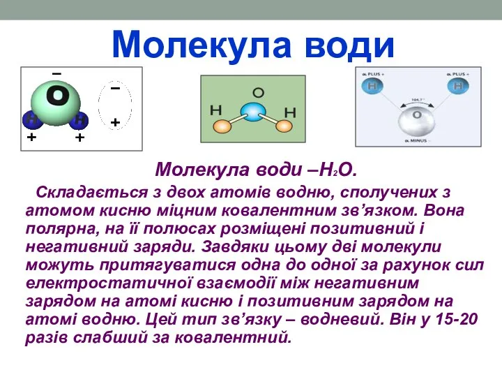 Молекула води Молекула води –Н2О. Складається з двох атомів водню, сполучених