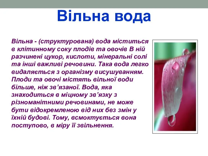 Вільна вода Вільна - (структурована) вода міститься в клітинному соку плодів