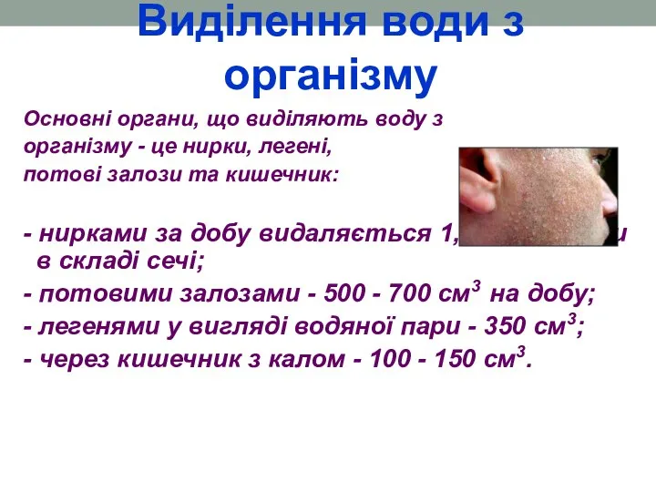 Виділення води з організму Основні органи, що виділяють воду з організму