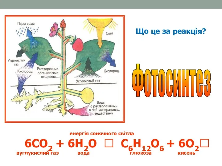 Що це за реакція? Фотосинтез енергія сонячного світла 6СО2 + 6Н2О