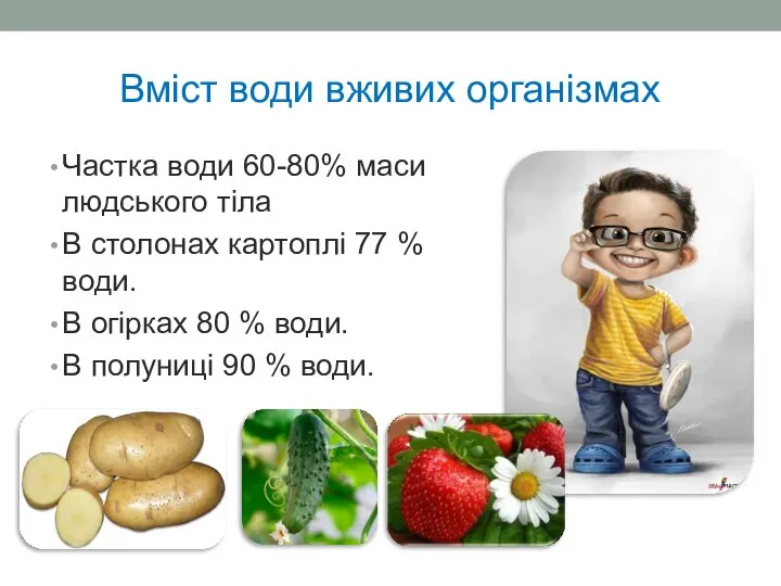 Вміст води вживих організмах Частка води 60-80% маси людського тіла В