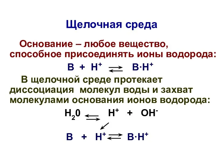 Щелочная среда Основание – любое вещество, способное присоединять ионы водорода: В