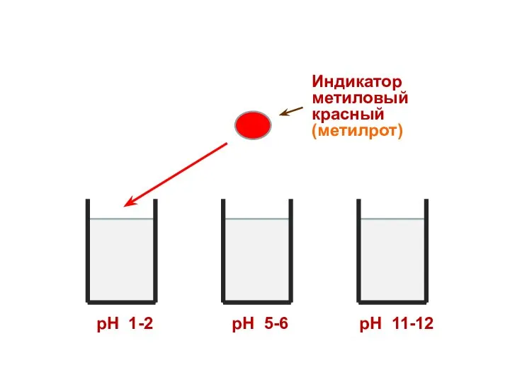 Индикатор метиловый красный (метилрот) рН 1-2 рН 5-6 рН 11-12