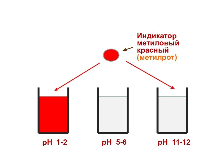 Индикатор метиловый красный (метилрот) рН 1-2 рН 5-6 рН 11-12