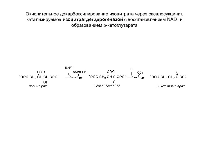 Окислительное декарбоксилирование изоцитрата через оксалосукцинат, катализируемое изоцитратдегидрогеназой с восстановлением NAD+ и образованием α-кетоглутарата
