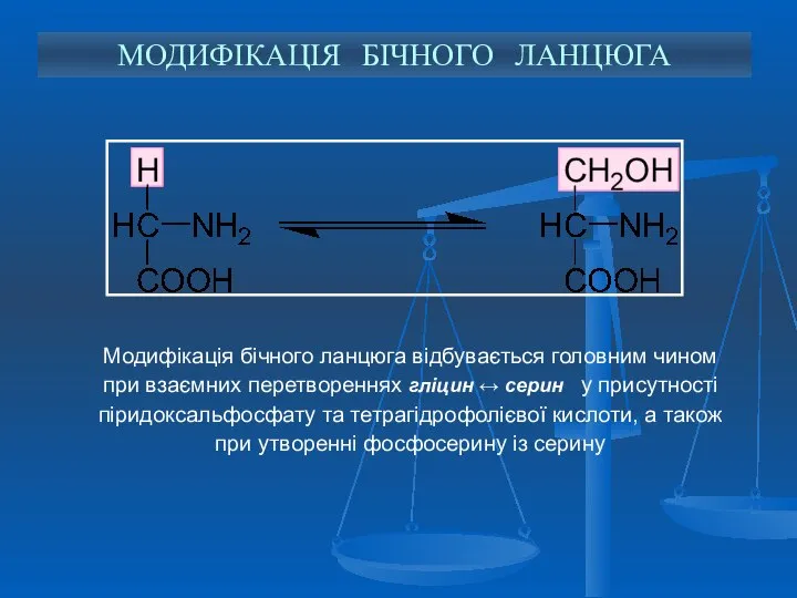 Модифікація бічного ланцюга відбувається головним чином при взаємних перетвореннях гліцин ↔