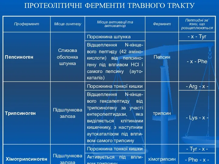 ПРОТЕОЛІТИЧНІ ФЕРМЕНТИ ТРАВНОГО ТРАКТУ