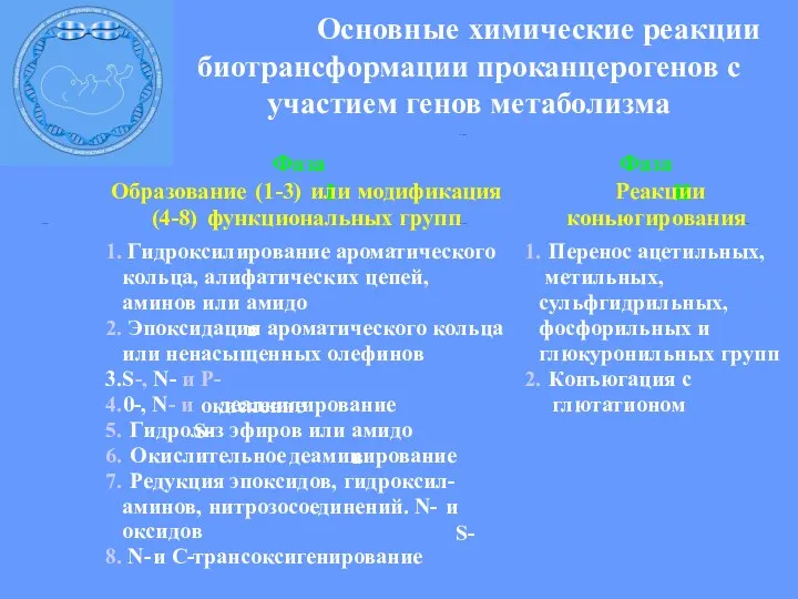 Основные химические реакции биотрансформации проканцерогенов с участием генов метаболизма