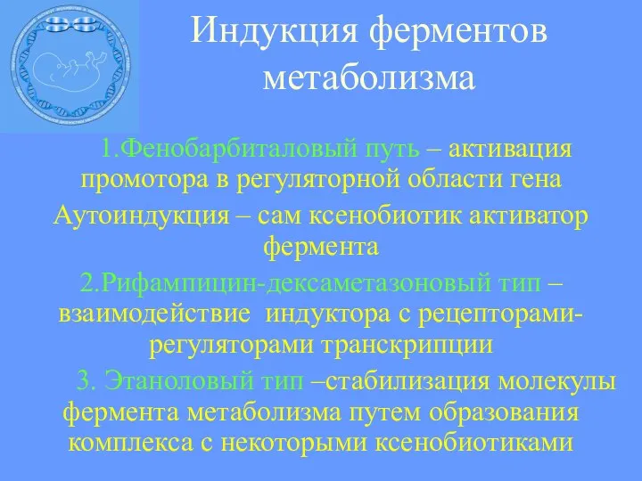 Индукция ферментов метаболизма 1.Фенобарбиталовый путь – активация промотора в регуляторной области