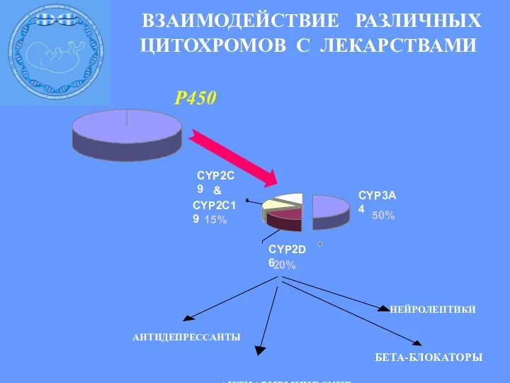 ВЗАИМОДЕЙСТВИЕ РАЗЛИЧНЫХ ЦИТОХРОМОВ С ЛЕКАРСТВАМИ