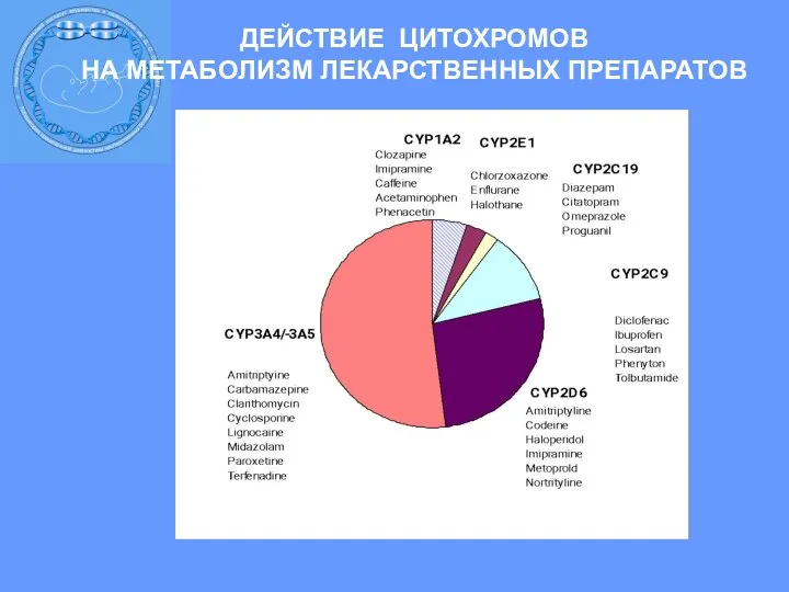 ДЕЙСТВИЕ ЦИТОХРОМОВ НА МЕТАБОЛИЗМ ЛЕКАРСТВЕННЫХ ПРЕПАРАТОВ