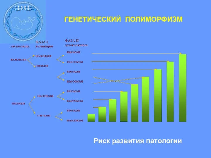 Риск развития патологии ГЕНЕТИЧЕСКИЙ ПОЛИМОРФИЗМ