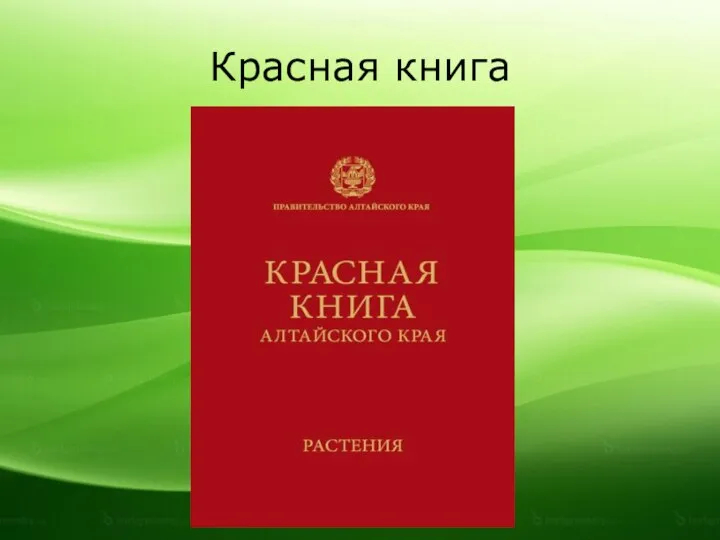 Красная книга