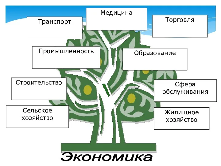 Экономика Сельское хозяйство Строительство Промышленность Транспорт Медицина Торговля Образование Сфера обслуживания Жилищное хозяйство