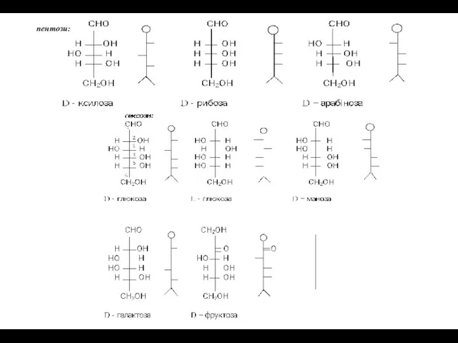 пентози: