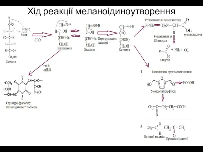 Хід реакції меланоідиноутворення