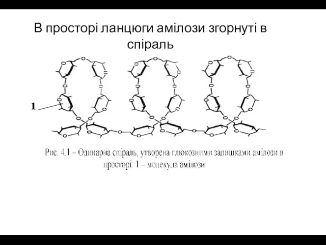 В просторі ланцюги амілози згорнуті в спіраль