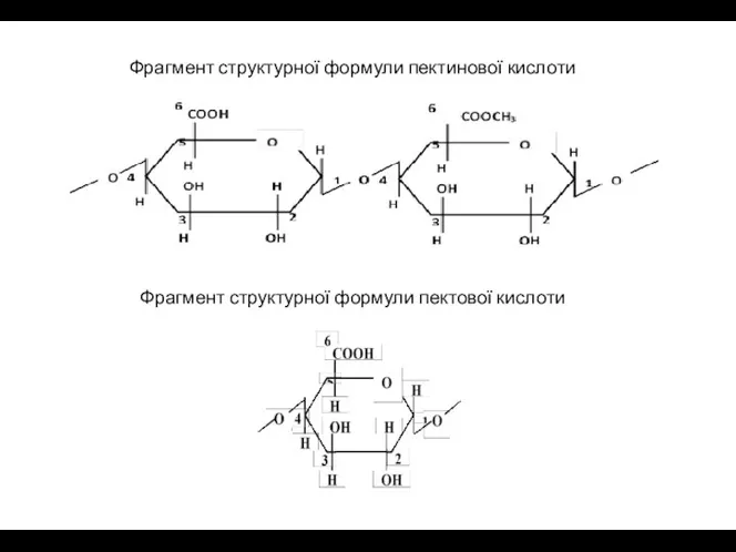 Фрагмент структурної формули пектинової кислоти Фрагмент структурної формули пектової кислоти