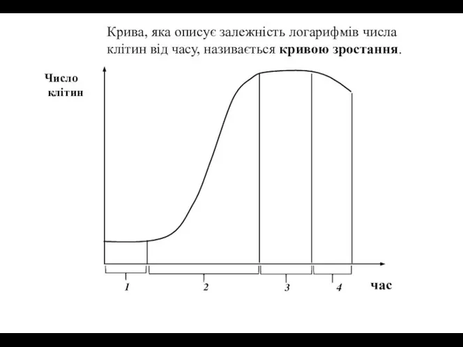 Крива, яка описує залежність логарифмів числа клітин від часу, називається кривою зростання.