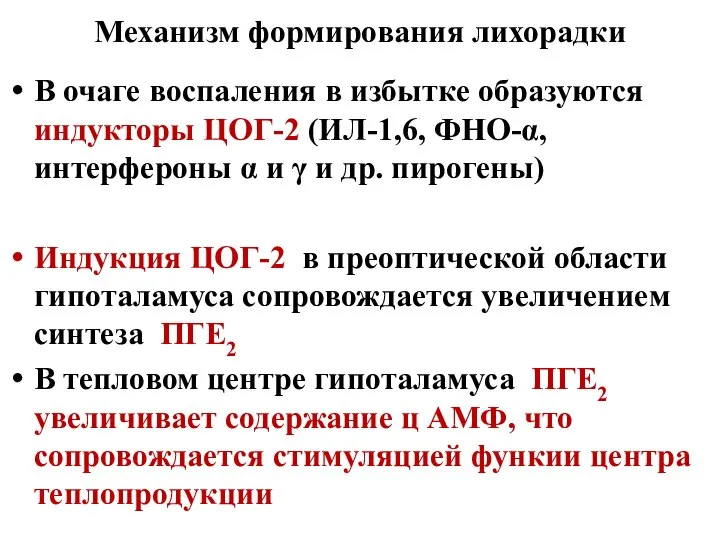 Механизм формирования лихорадки В очаге воспаления в избытке образуются индукторы ЦОГ-2