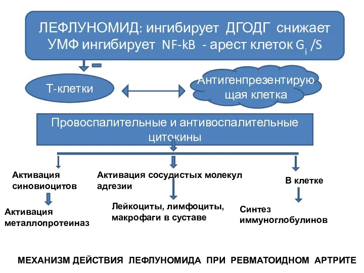 ЛЕФЛУНОМИД: ингибирует ДГОДГ снижает УМФ ингибирует NF-kB - арест клеток Gi