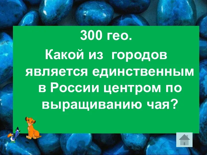 300 гео. Какой из городов является единственным в России центром по выращиванию чая?