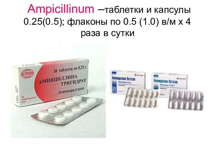Ampicillinum –таблетки и капсулы 0.25(0.5); флаконы по 0.5 (1.0) в/м х 4 раза в сутки