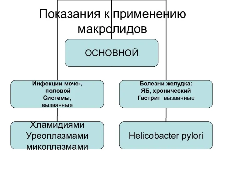 Показания к применению макролидов