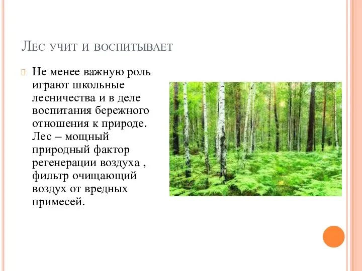 Лес учит и воспитывает Не менее важную роль играют школьные лесничества