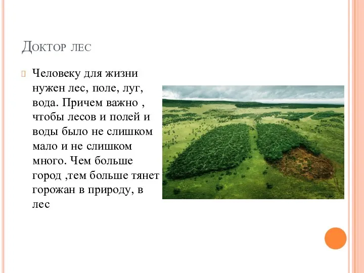 Доктор лес Человеку для жизни нужен лес, поле, луг, вода. Причем