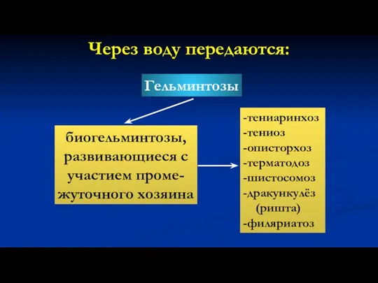 Через воду передаются: Гельминтозы биогельминтозы, развивающиеся с участием проме- жуточного хозяина