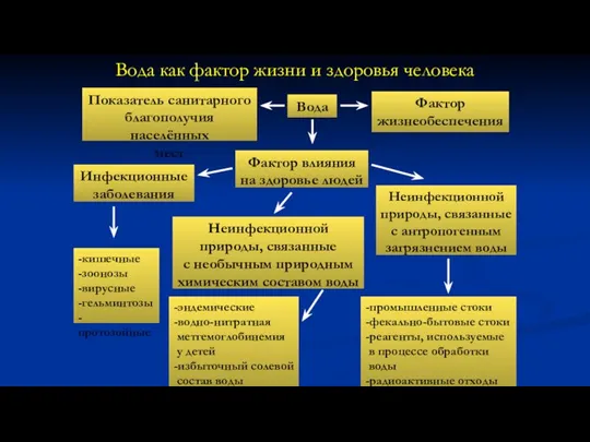 Вода как фактор жизни и здоровья человека Вода Показатель санитарного благополучия