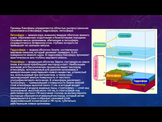 Границы биосферы определяются областью распространения организмов в атмосфере, гидросфере, литосфере. Литосфера